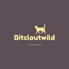 Bitcloutwild Profile Photo